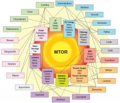 The MTOR Clinical Interactome